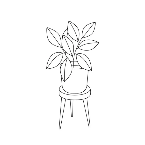 Начерки кімнатної рослини на підставці . — стоковий вектор