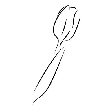 Lale çiçeğinin silueti.. 