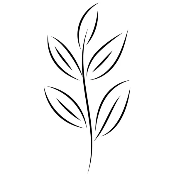 葉を持つ小枝のシルエット. — ストックベクタ