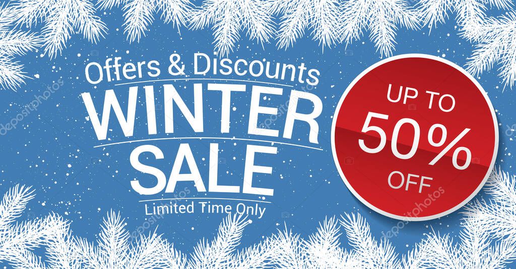 winter sale vector banner with white fir branches