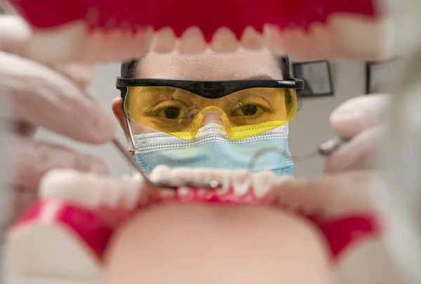 A dentist cleaning a mouth inside view, Inside view of a mouth checked by a dentist, a female dentist checking a patient. dentist checking a mouth, a dentist cleaning teeth.