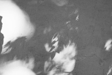 Kabuğu soyulmuş boyalar, dalların gölgeleri ve doku olarak yapraklarla kaplı bir duvar. Arkaplan ve dokular için