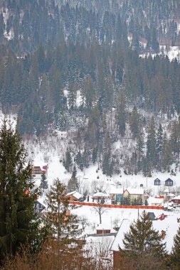 Karpatlar 'da karla kaplı bir köyün manzarası