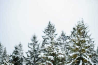 Kış karlı ormanlarda Quadcopter kalkışı