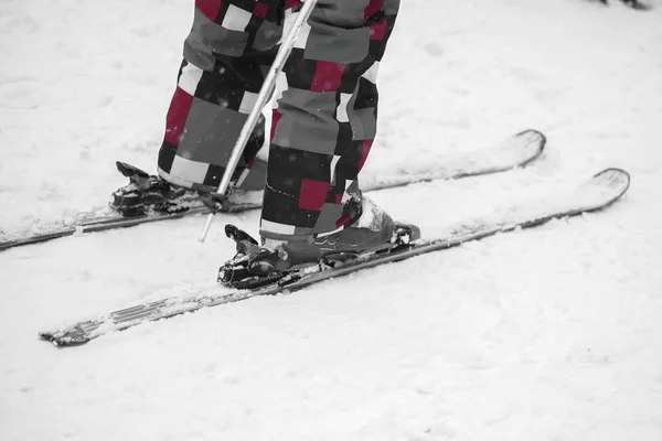 Skiers Ski Track — Stock Photo, Image