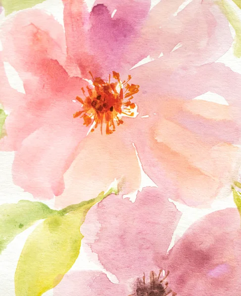 Watercolor Flower Painting Floral Background Watercolor Floral Background Greeting Card — 스톡 사진