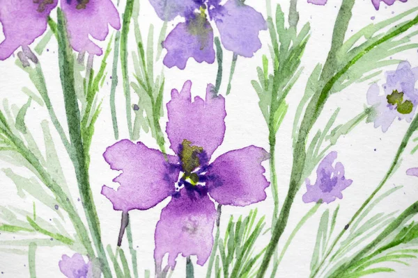 Akvarel Květiny Akvarel Květinové Pozadí Kartu Vzor Pozvánky Svatbu Květinová — Stock fotografie