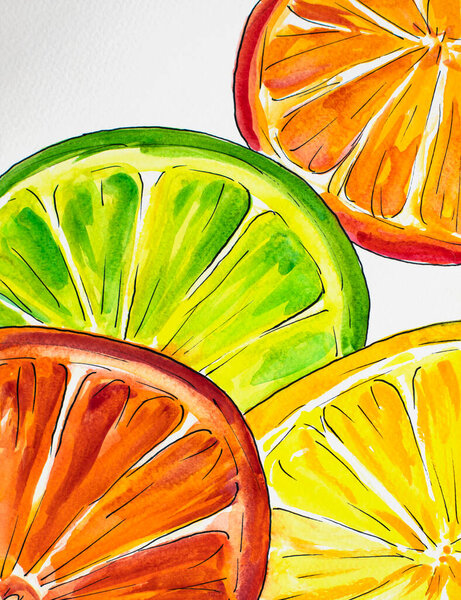 Watercolor Drawing Citrus Fruits Cut Stock Photo