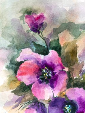 Beyaz arkaplanda suluboya çiçekler çiziyor