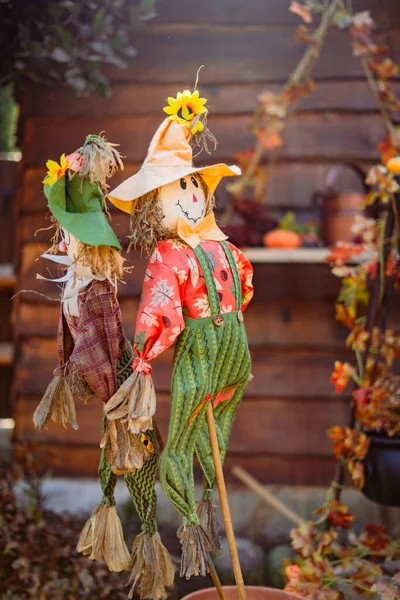 Cerca de la foto del espantapájaros con la luz del sol calabaza y otras decoraciones de Halloween Fotos De Stock Sin Royalties Gratis