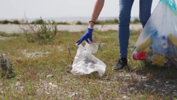 Gönüllüler sahildeki çöpleri topluyorlar. 4K Yeşil plastik polution 'ı temizliyorlar. — Stok video