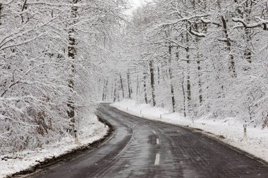 Kışın kar yağarken tehlikeli kaygan buz yolu. Ormanda karla kaplı ağaçlar ve sürmesi tehlikeli bir cadde..