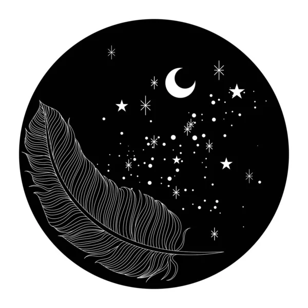 Feather Stars Line Art Illustration — Stockfoto