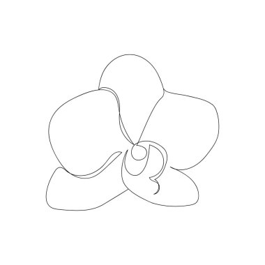 Sürekli bir sıra Phalaenopsis orkide çiçeği. Logo, simge amblemi ya da web pankartı için modaya uygun bir çiçek. El çizimi minimalizm biçimi vektörü.