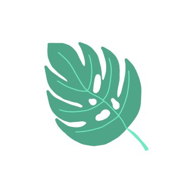 Karalama tarzında canavar yaprağı. Beyaz arka planda izole edilmiş tropikal yaprak delikleri, ev bitkisi vektör illüstrasyonu.