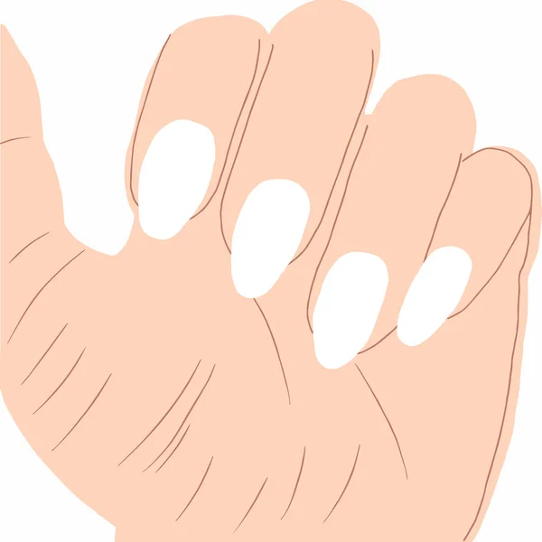 Vetor Manicure Mão Isolado Fundo Branco Mãos Vetor Mão Desenho —  Vetores de Stock