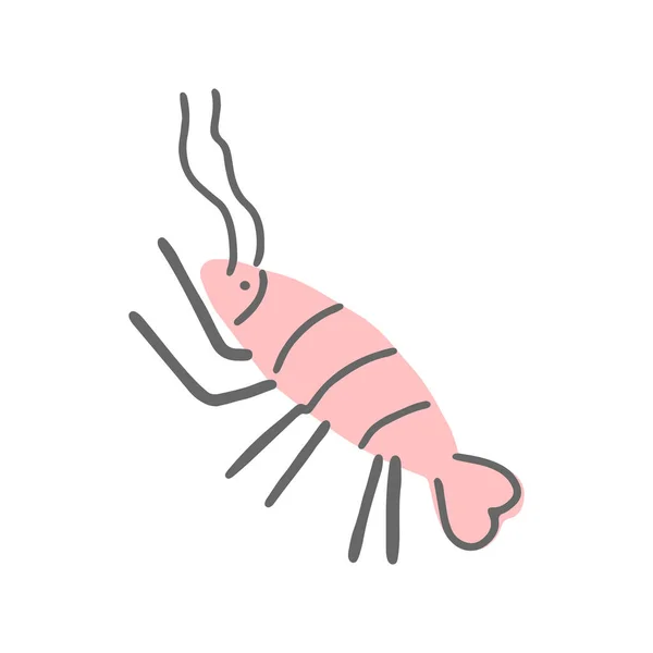 Vector Illustration Doodle Style Cartoon Shrimp Boiled Shrimp Color Icon — Stock Vector