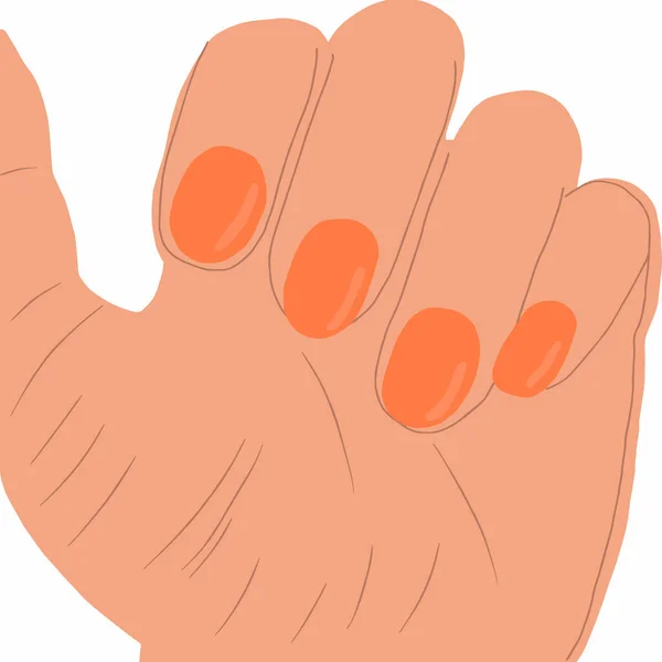 Vetor Manicure Mão Isolado Fundo Branco Mãos Vetor Mão Desenho — Vetor de Stock