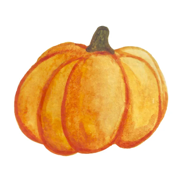 Acuarela Calabaza Ilustración Vectorial Hortalizas Otoño — Archivo Imágenes Vectoriales