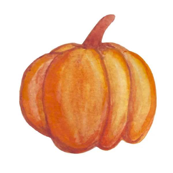 Acuarela Calabaza Ilustración Vectorial Hortalizas Otoño — Vector de stock