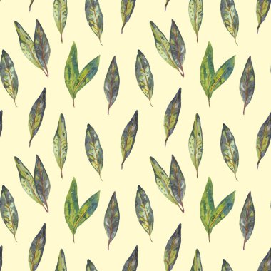 Suluboya yapraklı desen. Paketler, duvar kağıtları, sosyal gönderiler, web siteleri, tekstil tasarımı için kusursuz desen.