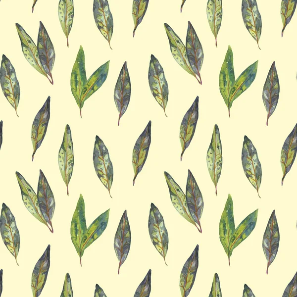 水彩画の葉のパターン パッケージ 社会的投稿 ウェブサイト 織物のデザインのためのシームレスなパターン — ストック写真