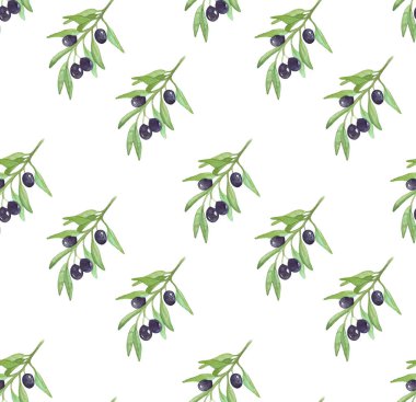 Zeytin dallı desen. Meyveli suluboya zeytin dalı. Vektör illüstrasyonu.