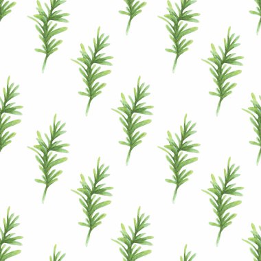 Beyaz arka planda yeşil kozalaklı suluboya deseni. Vektörsüz desen.