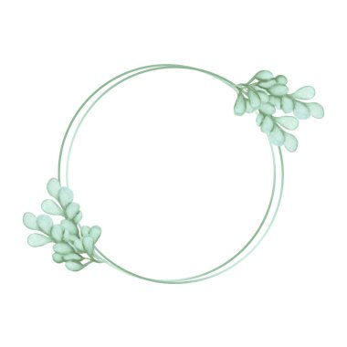 Suluboya okaliptüs dallı yuvarlak çerçeve. Vektör illüstrasyonu.