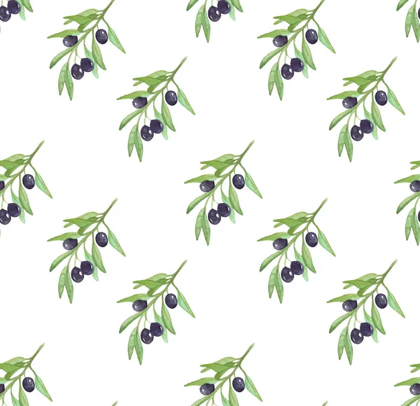 Zeytin dallı desen. Meyveli suluboya zeytin dalı. Vektör illüstrasyonu.