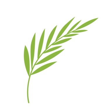 Egzotik karalama yaprağı. Element. Basit vektör palmiye yaprağı.