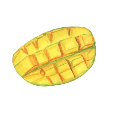 Mango suluboya çizimi. Dilimlenmiş mango parçaları.