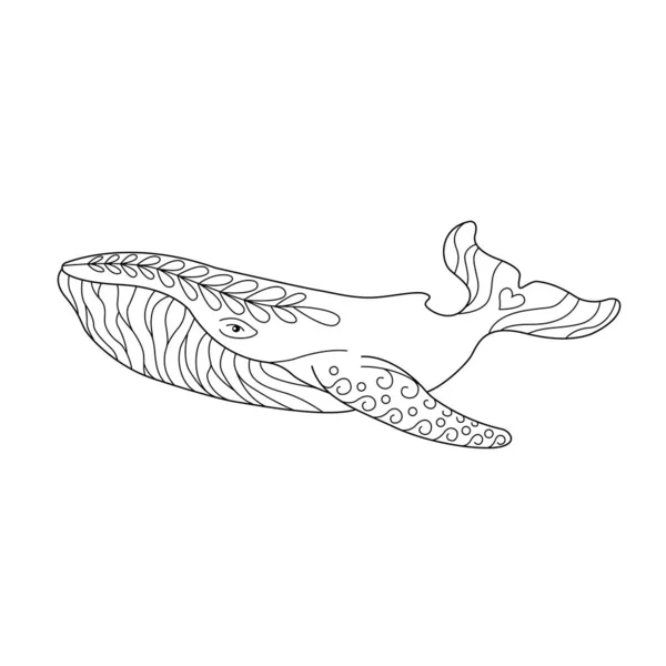 Coloring Page Whale Vector Illustration — Stock Vector