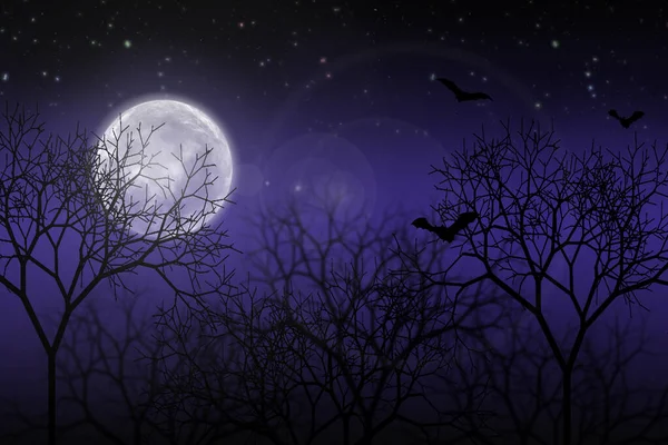 Night Landscape Moon Stars — Stock Photo, Image