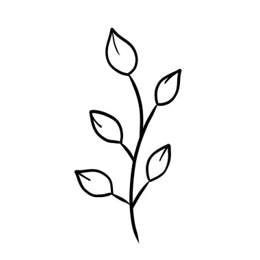 Çiçekli el çizimleri. Soyut bir çiçek tasarımı. Taslak çizimi. Beyaz yapraklı dal. Contour resimden ayrılır.