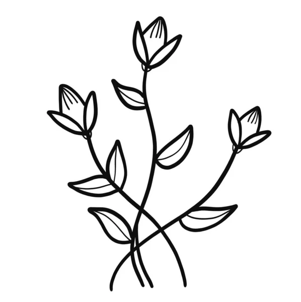 Εικονογράφηση Λουλουδιών Αφηρημένη Όμορφη Φλοράλ Έννοια Μαύρη Γραμμή Που Απομονώνεται — Φωτογραφία Αρχείου