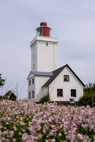 ニュージーランド北部のナックホブ灯台 — ストック写真