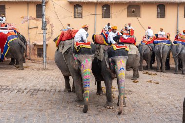 Jaipur, Hindistan 'daki Amber Kalesi' nde madalyalı filler.