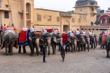 Jaipur, Hindistan 'daki Amber Kalesi' nde madalyalı filler.