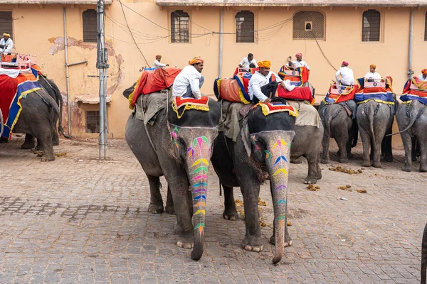 Jaipur, Hindistan 'daki Amber Kalesi' nde madalyalı filler.