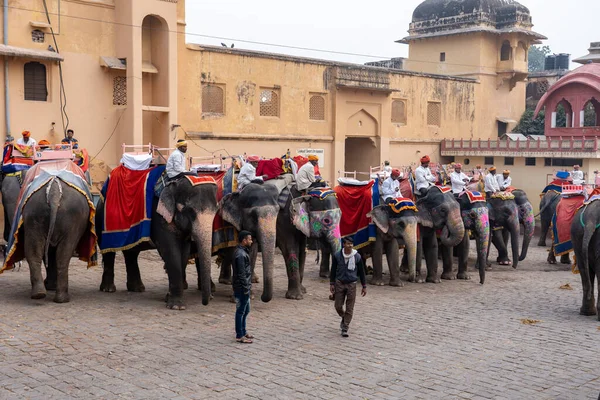 Jaipur, Hindistan 'daki Amber Kalesi' nde madalyalı filler.