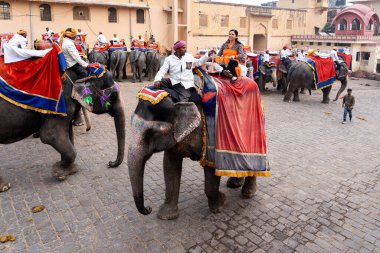 Jaipur, Hindistan 'daki Amber Kalesi' nde madalyalı filler.