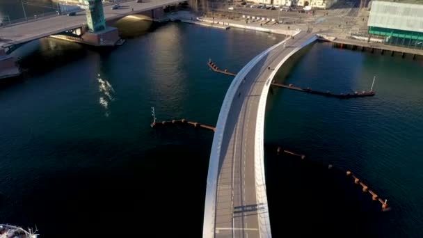 København Danmark Januar 2022 Luftdroneudsigt Den Moderne Circle Bridge Fodgængerbro – Stock-video