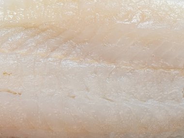 Fileto morina dokusunun foereground tabanı