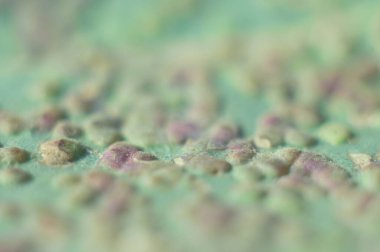 Seçici odaklı yaprak fotoğrafçılığı.