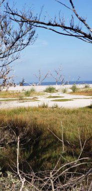 düşük tide sahilde