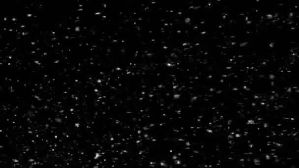 Fond Chute Neige Boucle Sans Couture — Video