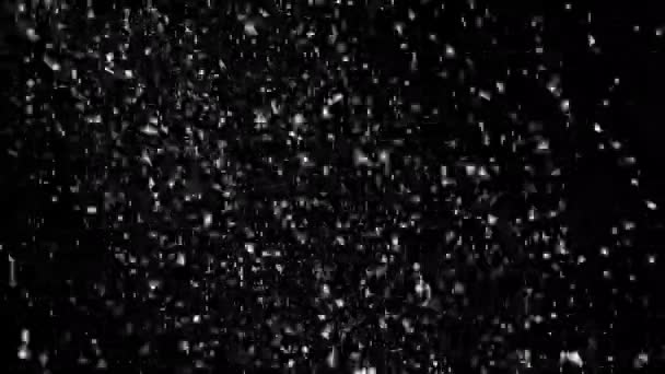 Snow Falling Background Seamless Loop — Stock video