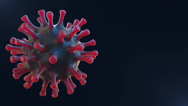Ζωντανό Coronavirus Loop Ιατρικό Μικροσκόπιο Close Render Animation Alpha — Αρχείο Βίντεο