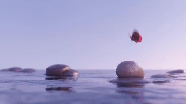 Эффект Мухи Над Каменной Водой Бесшовный Цикл Изображающий Эффект Бабочки — стоковое видео